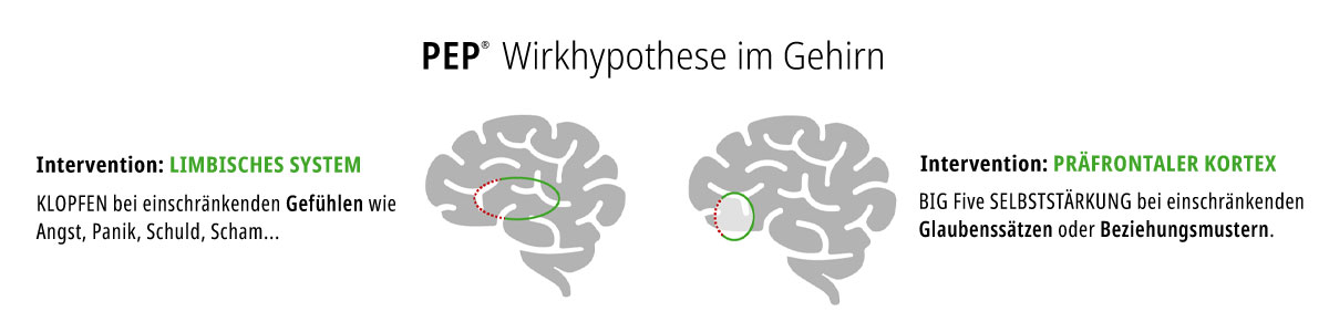 Wirkhypothese im Gehirn